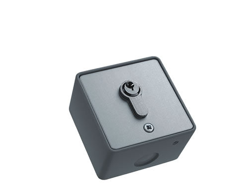 2876 - Face-Fixed key Switch