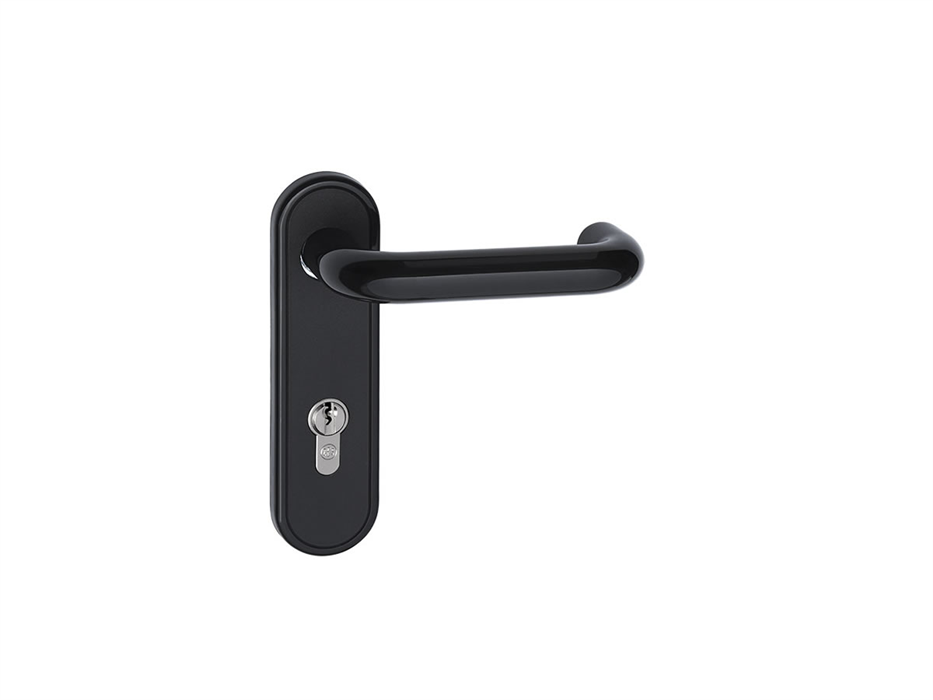 6152 - Black Lever/ Lever Handle Side Hinged Doors