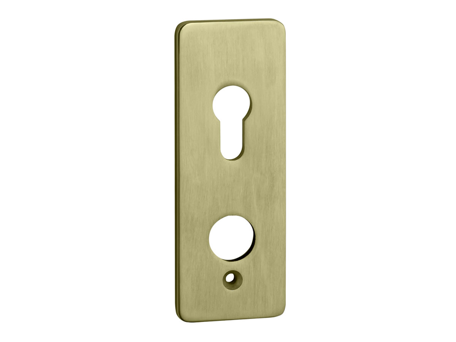 3161 - Up & Over Door Brass Fascia Plate