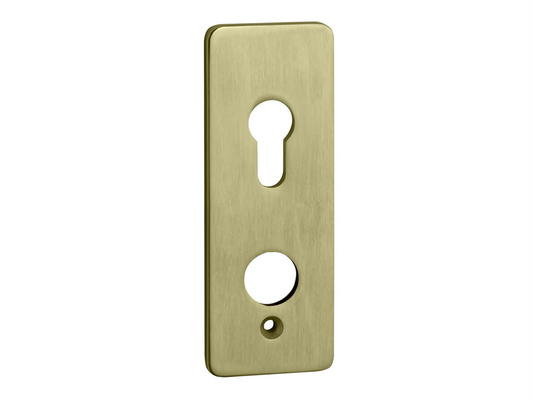 3161 - Up & Over Door Brass Fascia Plate