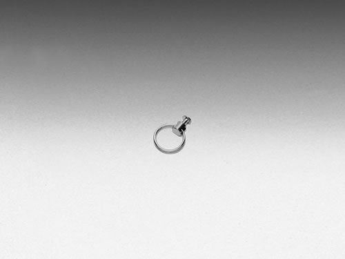 4877 - Key Ring