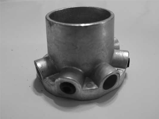 60 - Right spring cone